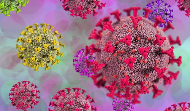 Covid-19 : le variant Omicron identifié dans 57 pays (OMS)