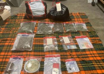 Cannabis et Cocaïne saisies à Luchon