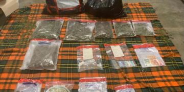 Cannabis et Cocaïne saisies à Luchon