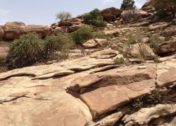 Alerte à la famine en Somalie