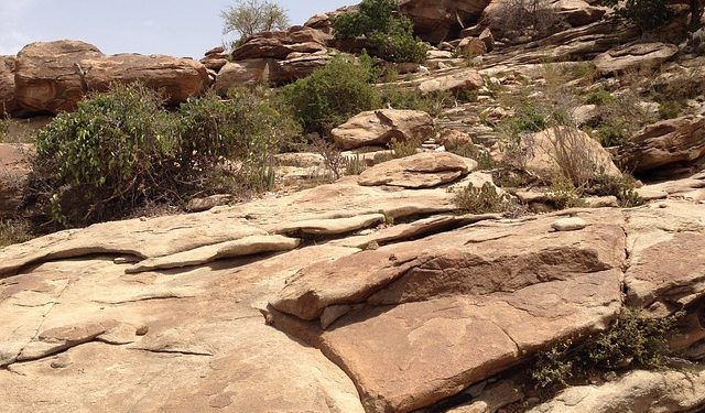 Alerte à la famine en Somalie