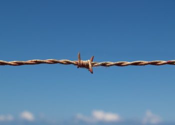 Guerre en Ukraine : plus de 500.000 réfugiés ont déjà franchi les frontières (HCR)