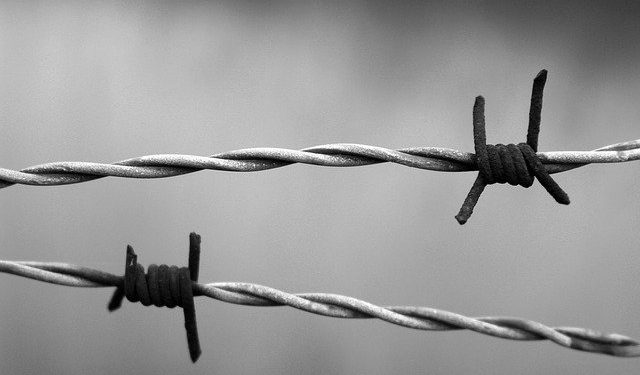 Guerre en Ukraine - plus de 1,7 millions de réfugiés