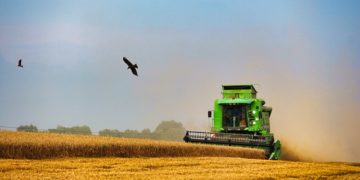 L’ONU met en garde contre une famine mondiale à cause de la guerre en Ukraine