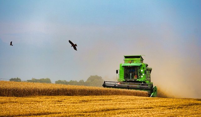 L’ONU met en garde contre une famine mondiale à cause de la guerre en Ukraine