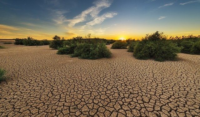 Climat : les experts du GIEC s’alarment des conséquences "d’une planète en péril"