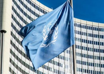 Mali : deux Casques bleus tués