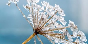 Cette semaine va marquer un net réchauffement à Toulouse