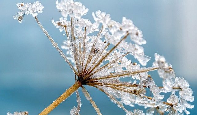 Cette semaine va marquer un net réchauffement à Toulouse