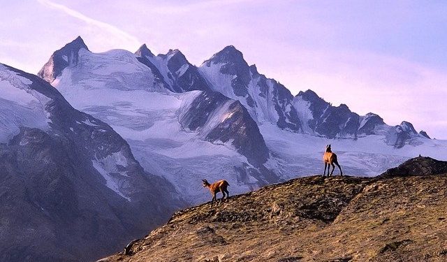 La ville, levier pour limiter le réchauffement climatique selon le GIEC