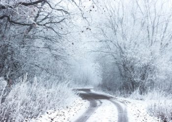 Météo France place la Haute Garonne en alerte vigilance orange