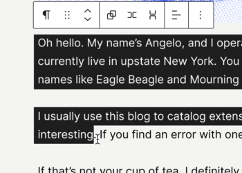 Wordpress passe à la version 6