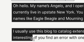 Wordpress passe à la version 6