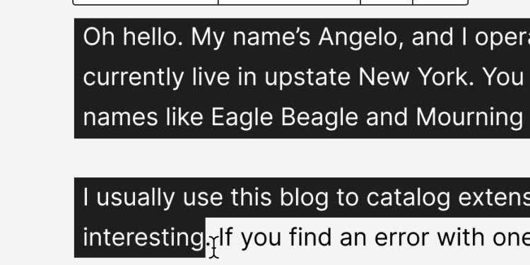 Wordpress passe à la version 6