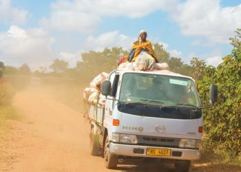 Alerte à la famine au Malawi