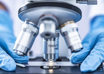 Variole du singe : doit-on s’attendre à une pandémie mondiale comme avec le Covid-19 ?