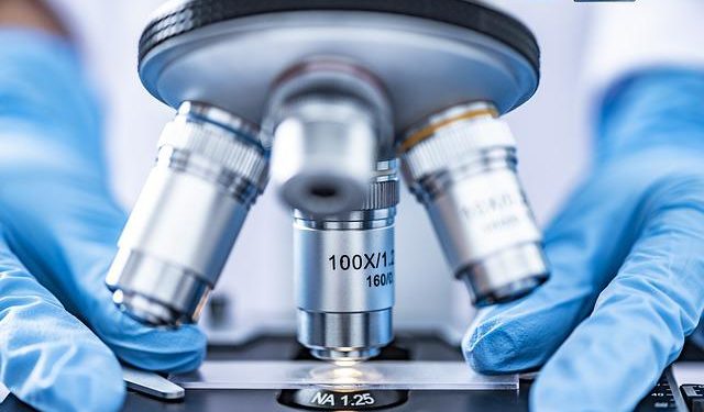 Variole du singe : doit-on s’attendre à une pandémie mondiale comme avec le Covid-19 ?