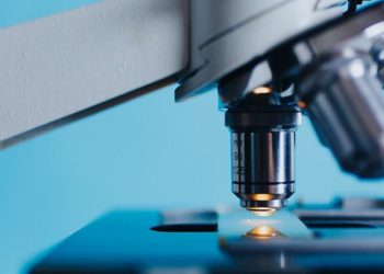 "Variole du singe" : l'OMS juge possible d'arrêter la transmission entre humains