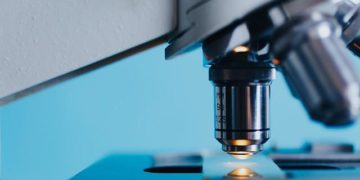 "Variole du singe" : l'OMS juge possible d'arrêter la transmission entre humains