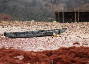 Catastrophe écologique au large du Yémen