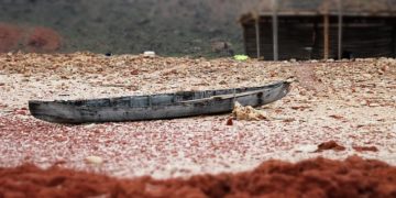 Catastrophe écologique au large du Yémen