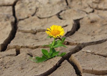 Rapport alarmant de l’Organisation météorologique mondiale