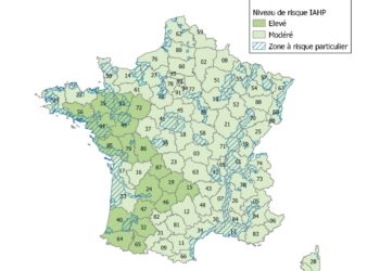 influenza aviaire, le risque reste élevé dans 3 départements d'Occitanie