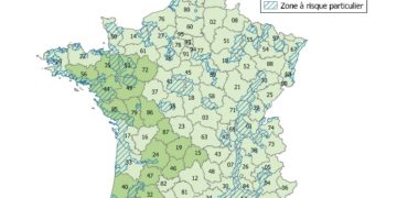 influenza aviaire, le risque reste élevé dans 3 départements d'Occitanie