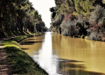 Fréquentation touristique en hausse ce printemps en Haute Garonne