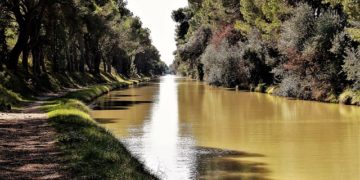 Fréquentation touristique en hausse ce printemps en Haute Garonne