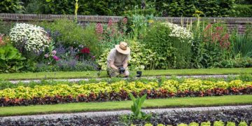 Les bons plans d’un jardinier contre la chaleur et la fatigue
