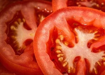Un virus surnommé « grippe de la tomate » détecté en Inde