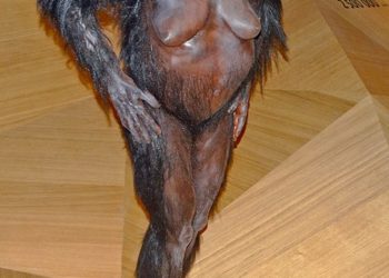 le paléontologue Yves Coppens, co-découvreur de Lucy, est mort