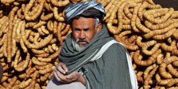 Séisme en Afghanistan, arrivée des 1eres aides internationales