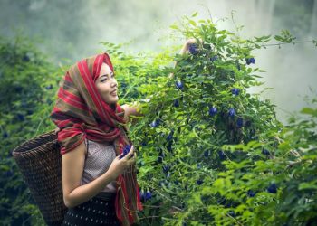 "Une régression des droits des femmes dans de nombreux pays"