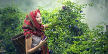 "Une régression des droits des femmes dans de nombreux pays"
