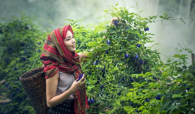 "Une régression des droits des femmes dans de nombreux pays"