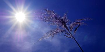 Alerte rouge canicule à Toulouse. la préfecture met en garde la population