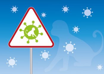 Variole du Singe -Monkeypox- 330 cas confirmés, 22 en Occitanie