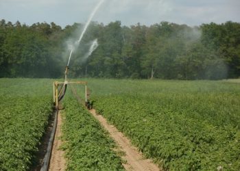 Sécheresse dans le Lot, la préfecture décide de restreindre l'usage d'eau