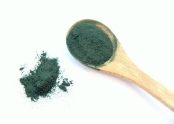 Toulouse - Opération de Haut de Bilan pour Hoope spécialiste de la Spiruline
