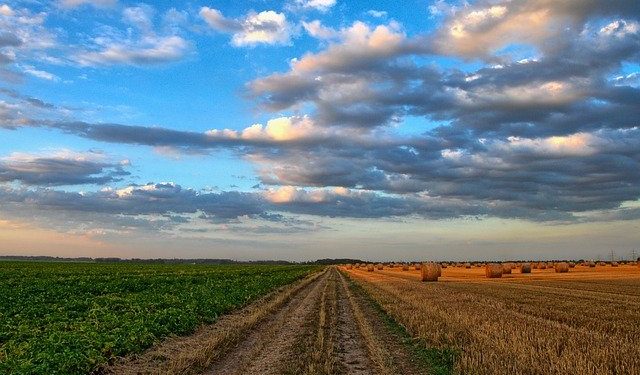 6 idées de business en 2022