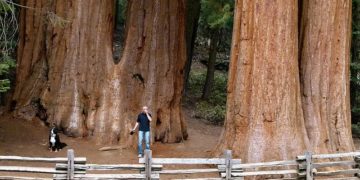 Pic de chaleur aux Etats-Unis