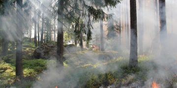 Incendies en Gironde : les deux feux sont "stabilisés"