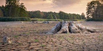L'impressionnante sécheresse de la Loire inquiète les internautes