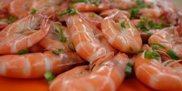 Le championnat du monde de décorticage de crevettes a eu lieu ce week end