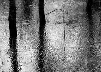 Inondations sans précédent au Tchad