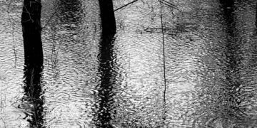 Inondations sans précédent au Tchad