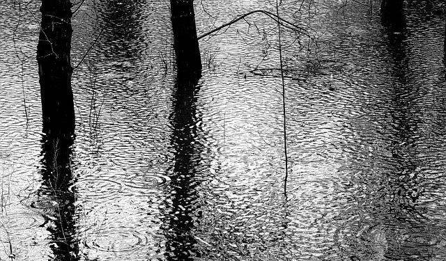 Inondations sans précédent au Tchad