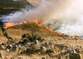 Pyrénées - un homme meurt dans un écobuage